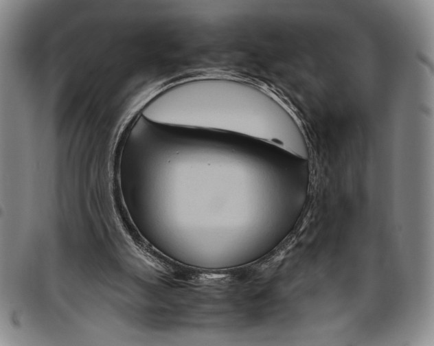 X0000096460055200802211136