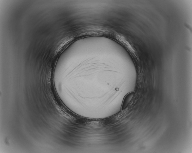 X0000096460058200802211136