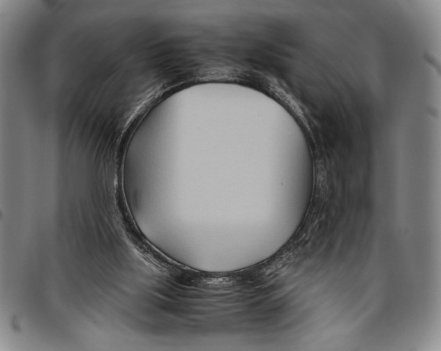 X0000096460059200802211136