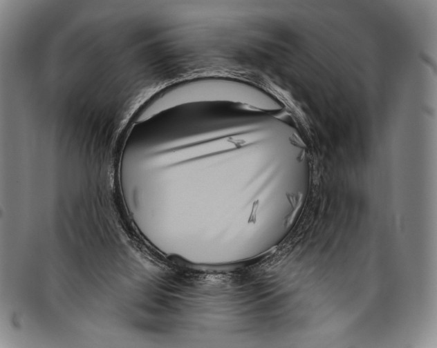 X0000096460060200802211136