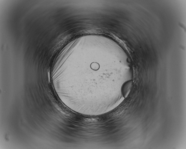 X0000096460061200802211136