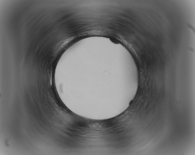 X0000096460062200802211136