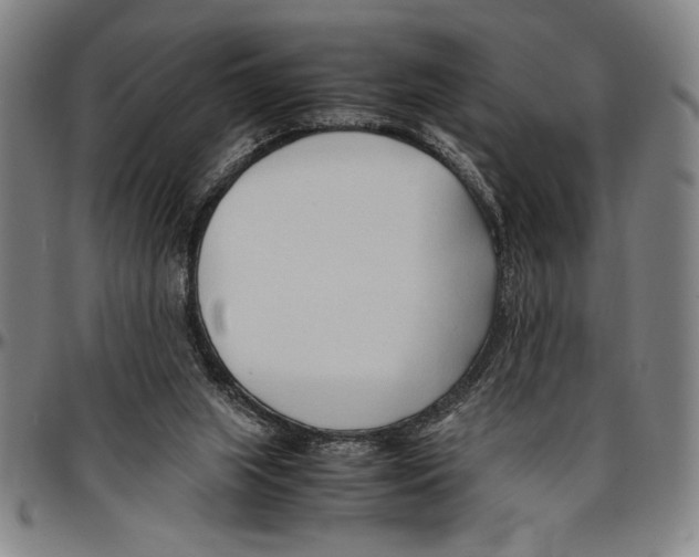 X0000096460063200802211136