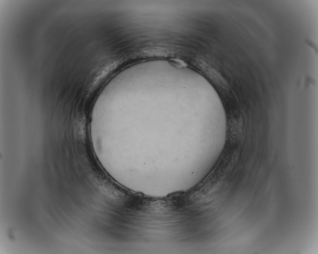 X0000096460064200802211136