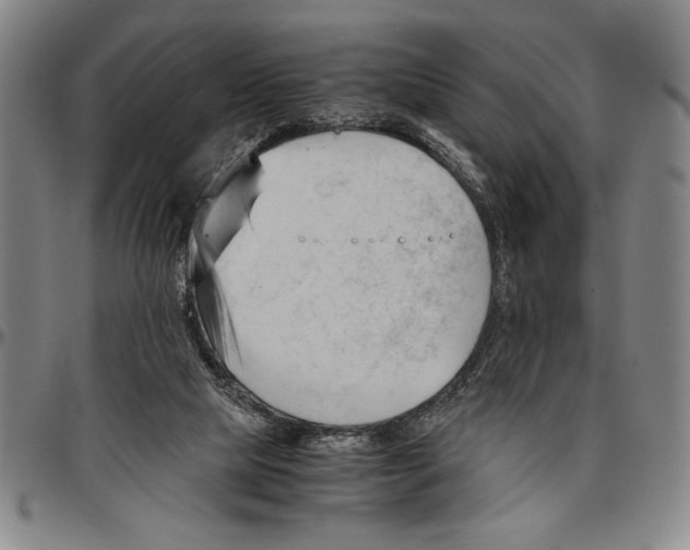 X0000096460065200802211136