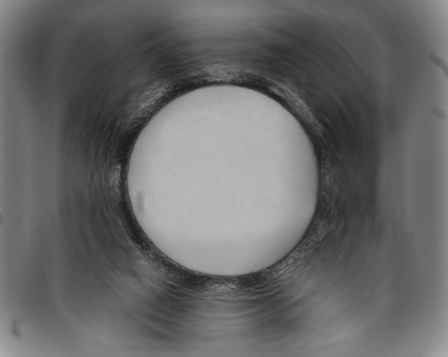 X0000096460066200802211136