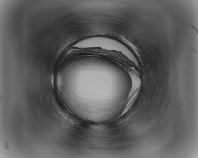 X0000096460067200802211136