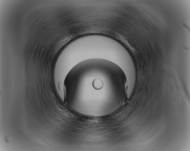X0000096460068200802211136