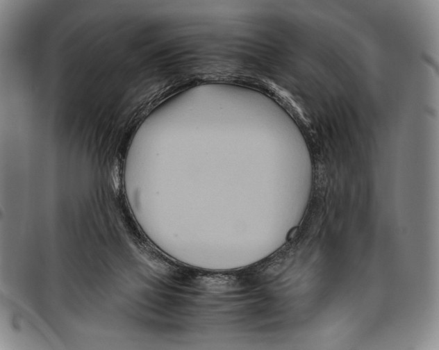 X0000096460069200802211136