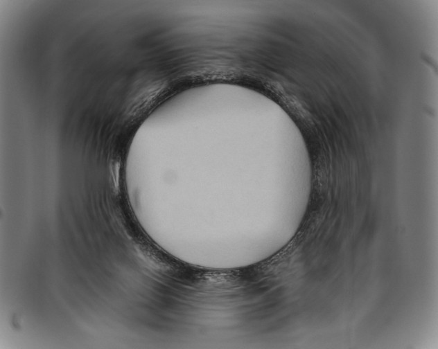 X0000096460070200802211136