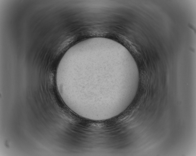 X0000096460071200802211136