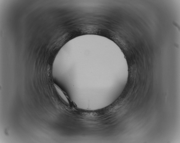 X0000096460073200802211136