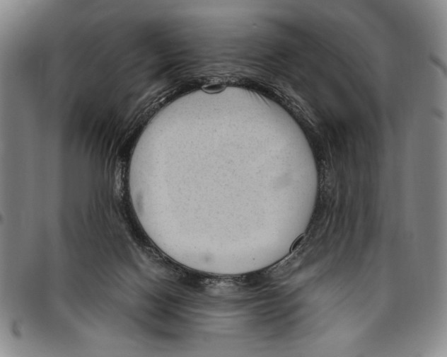 X0000096460074200802211136