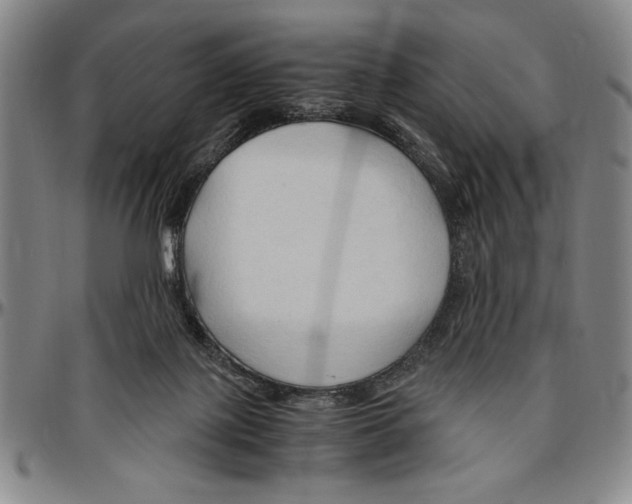 X0000096460075200802211136