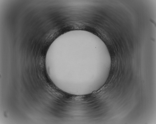 X0000096460078200802211136