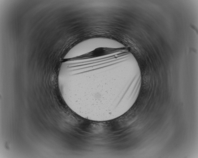 X0000096460079200802211136