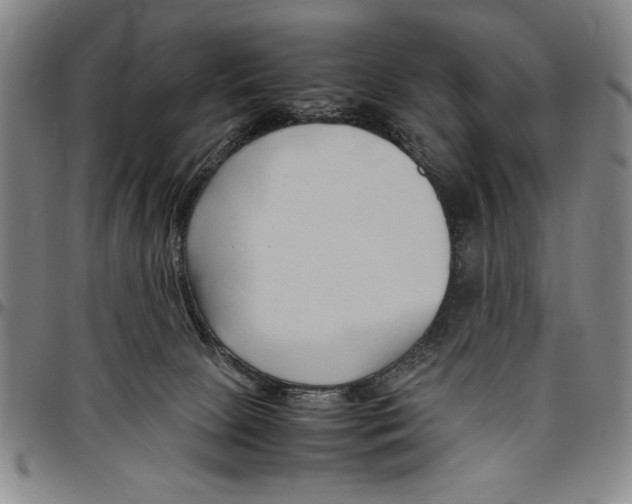 X0000096460081200802211136