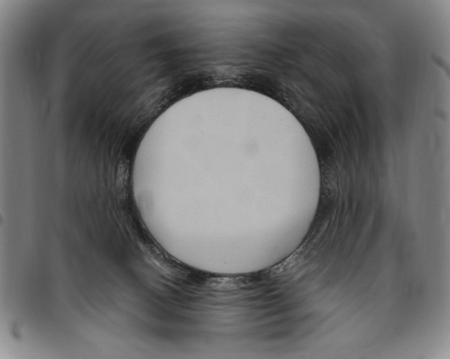 X0000096460082200802211136