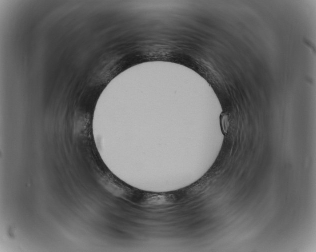 X0000096460083200802211136