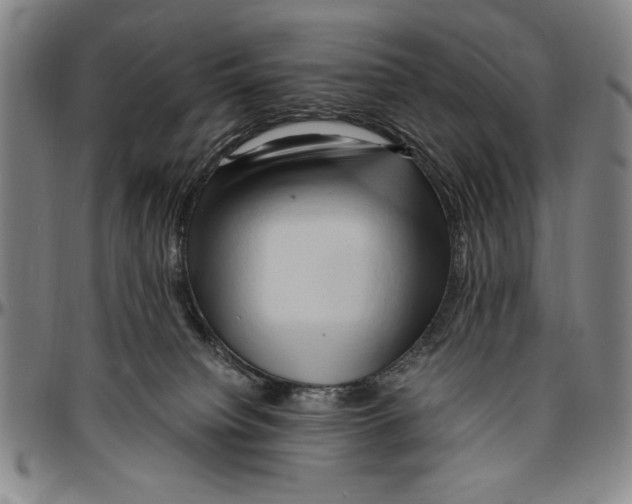 X0000096460084200802211136