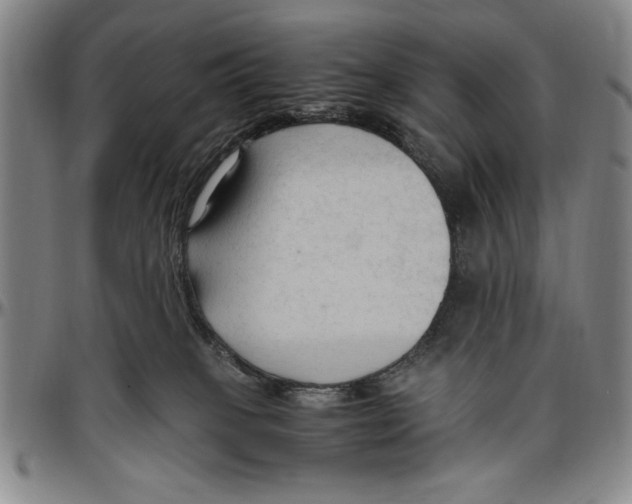 X0000096460085200802211136