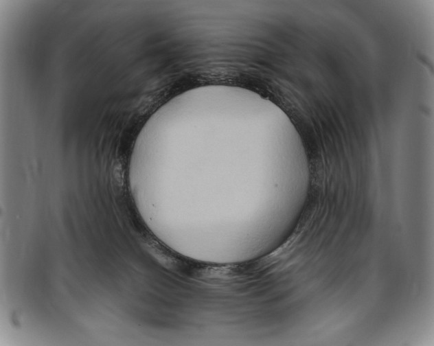 X0000096460086200802211136