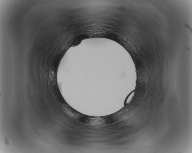 X0000096460087200802211136