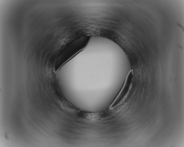 X0000096460088200802211136