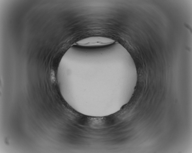 X0000096460089200802211136