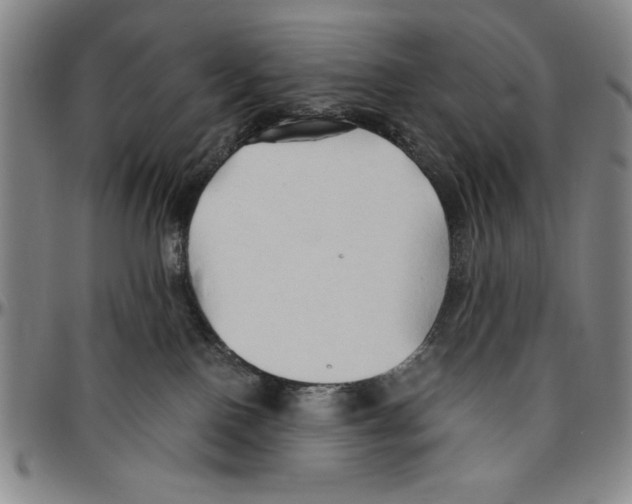 X0000096460090200802211136