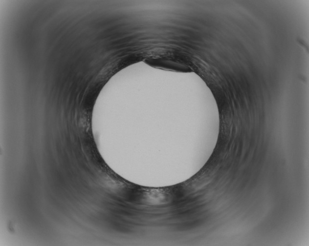 X0000096460091200802211136