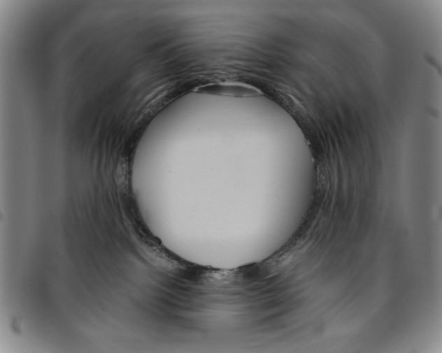 X0000096460092200802211136