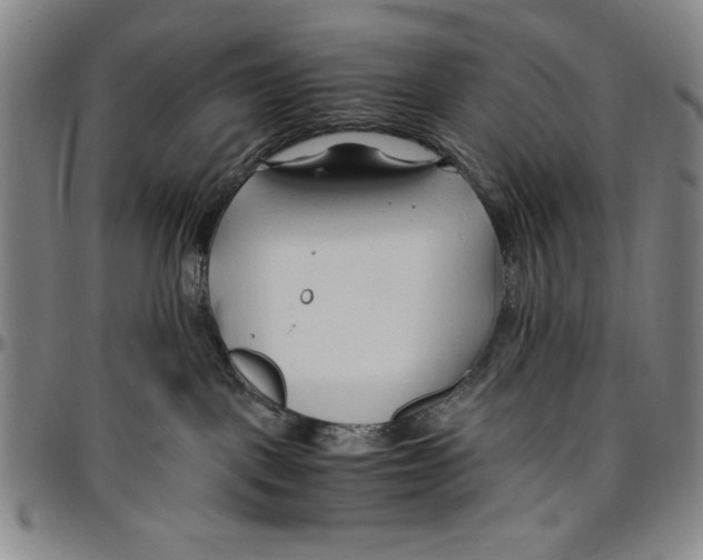 X0000096460093200802211136