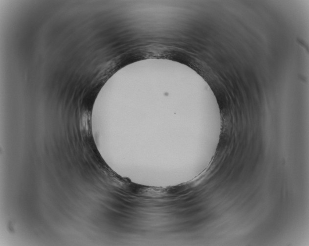 X0000096460094200802211136