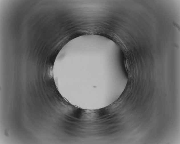 X0000096460095200802211136