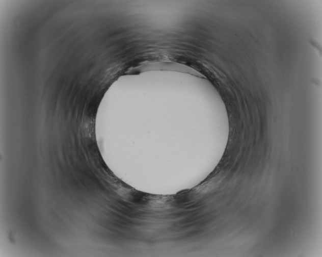 X0000096460096200802211136