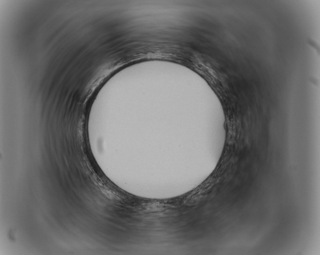 X0000096460098200802211135
