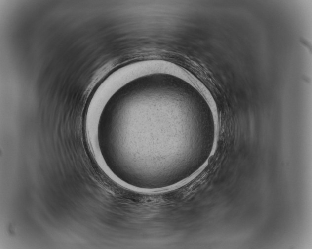 X0000096460099200802211135