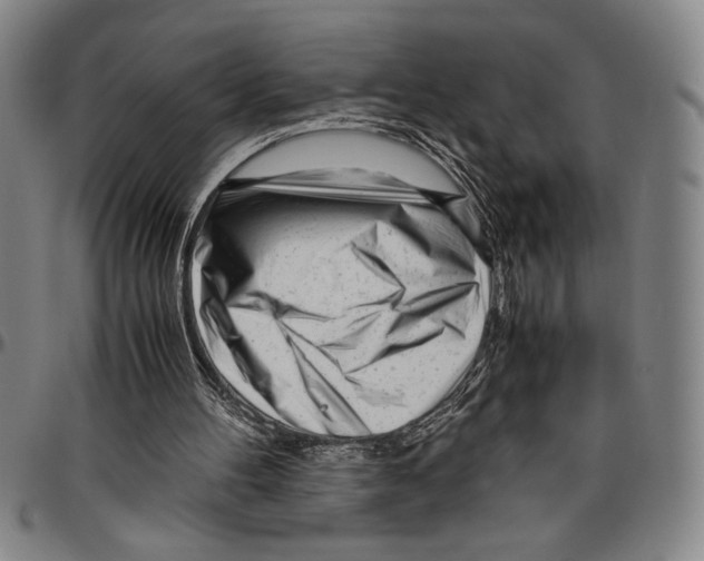 X0000096460100200802211135