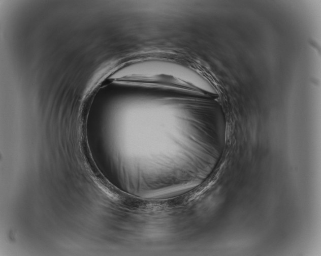 X0000096460101200802211135