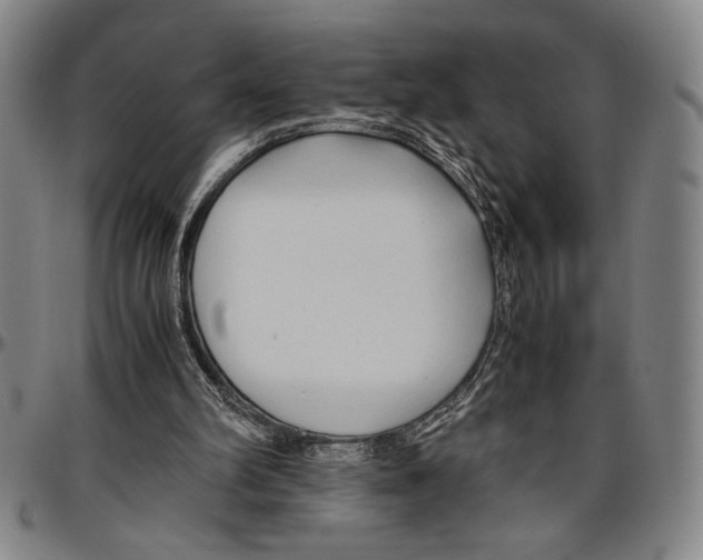 X0000096460102200802211135