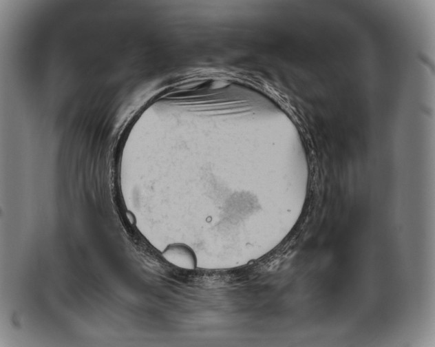 X0000096460103200802211135