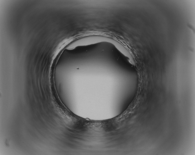 X0000096460104200802211135