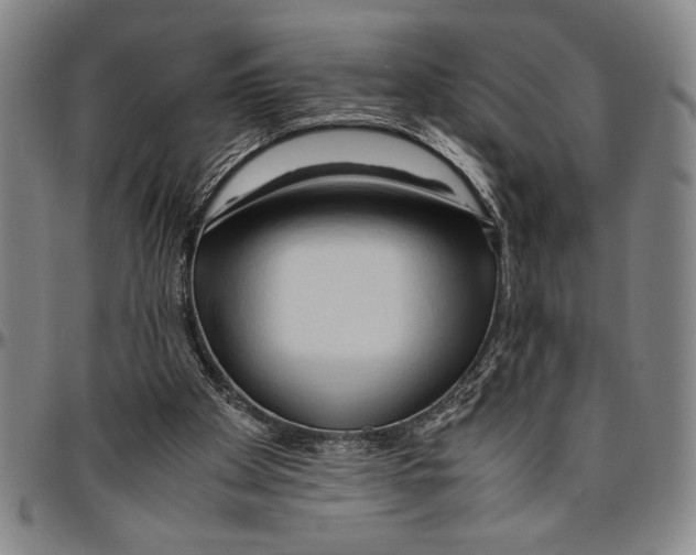X0000096460105200802211135