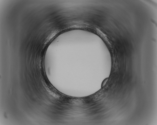 X0000096460106200802211135