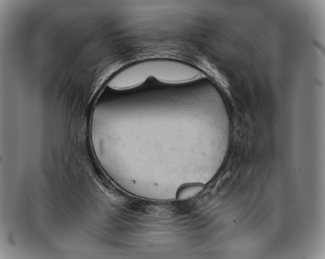 X0000096460107200802211135