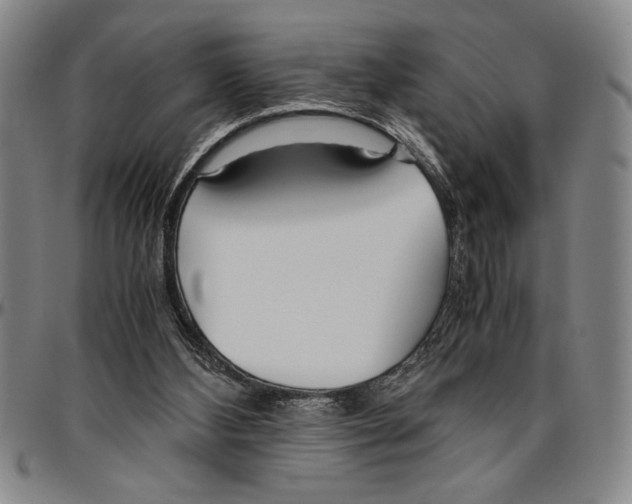 X0000096460108200802211135