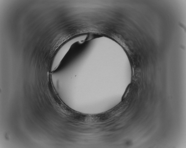 X0000096460109200802211135