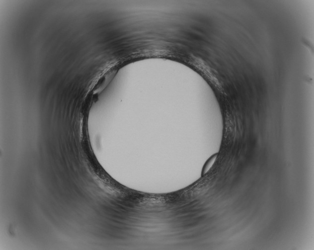 X0000096460110200802211135