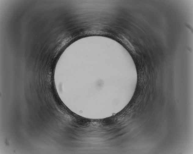 X0000096460111200802211135